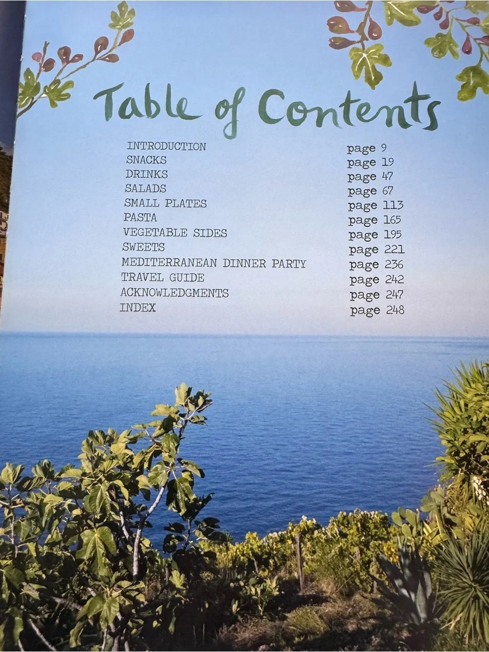 The Forest Feast Mediterranean Cookbook